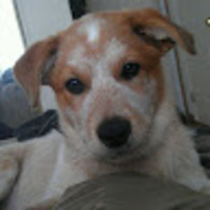 Meet your Posher, Adria